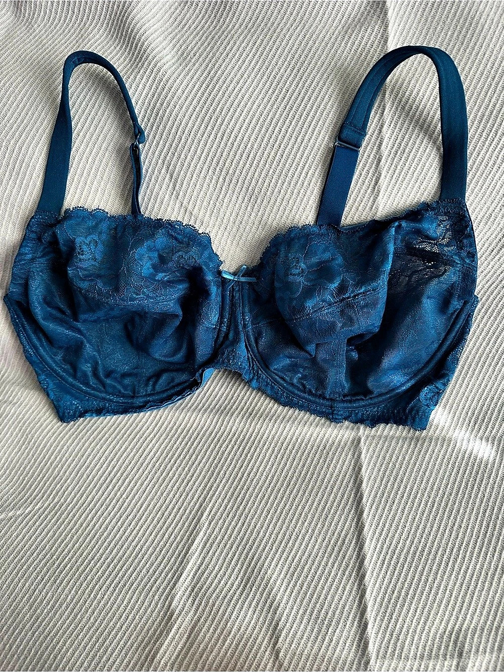 Lane Bryant 40DD underwire gently used Blue Lace Bra. Unlined full coverage.